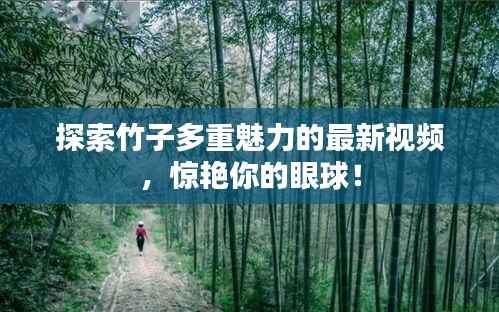 探索竹子多重魅力的最新视频，惊艳你的眼球！
