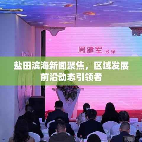 盐田滨海新闻聚焦，区域发展前沿动态引领者
