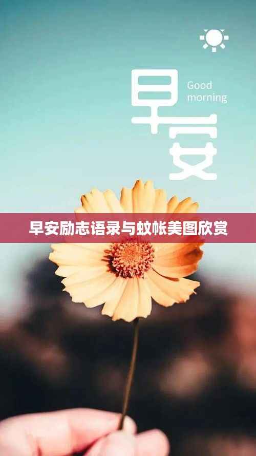 早安励志语录与蚊帐美图欣赏