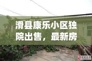 云屯鸟散 第4页