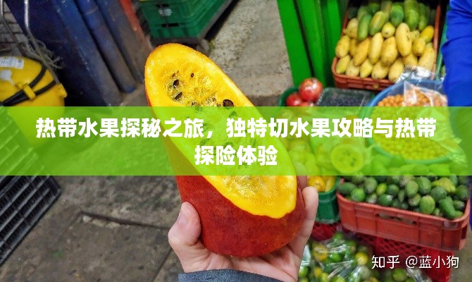热带水果探秘之旅，独特切水果攻略与热带探险体验