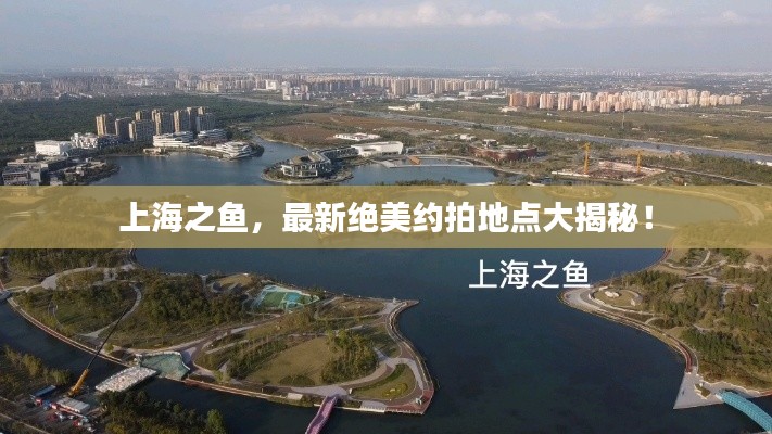 上海之鱼，最新绝美约拍地点大揭秘！