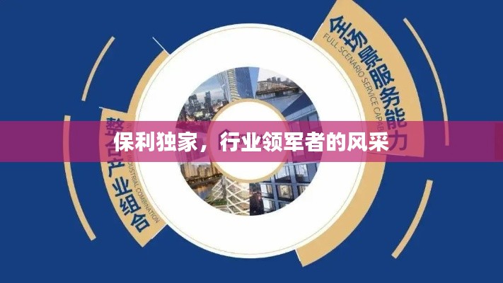 保利独家，行业领军者的风采