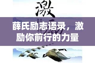 薛氏励志语录，激励你前行的力量源泉