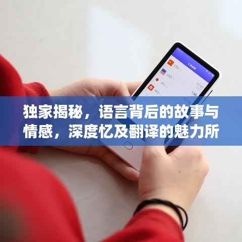 独家揭秘，语言背后的故事与情感，深度忆及翻译的魅力所在