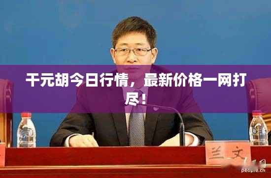 干元胡今日行情，最新价格一网打尽！