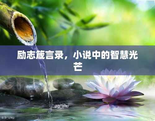 励志箴言录，小说中的智慧光芒