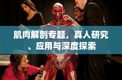 肌肉解剖专题，真人研究、应用与深度探索