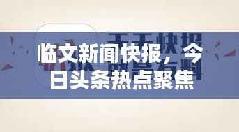 临文新闻快报，今日头条热点聚焦