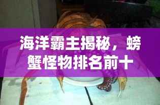 海洋霸主揭秘，螃蟹怪物排名前十！