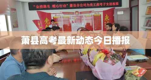 铺张浪费 第4页