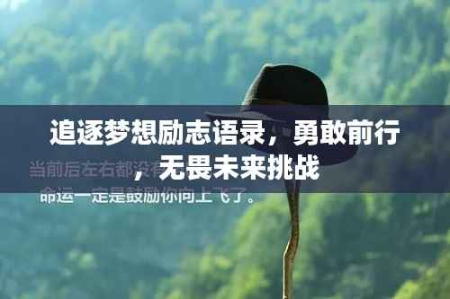 追逐梦想励志语录,勇敢前行,无畏未来挑战