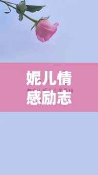 妮儿情感励志语录，激励人心的短句汇总