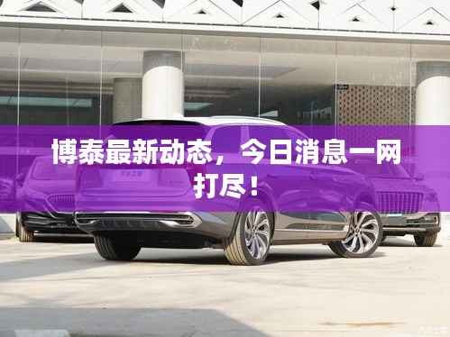博泰最新动态，今日消息一网打尽！