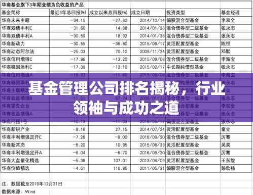 基金管理公司排名揭秘，行业领袖与成功之道