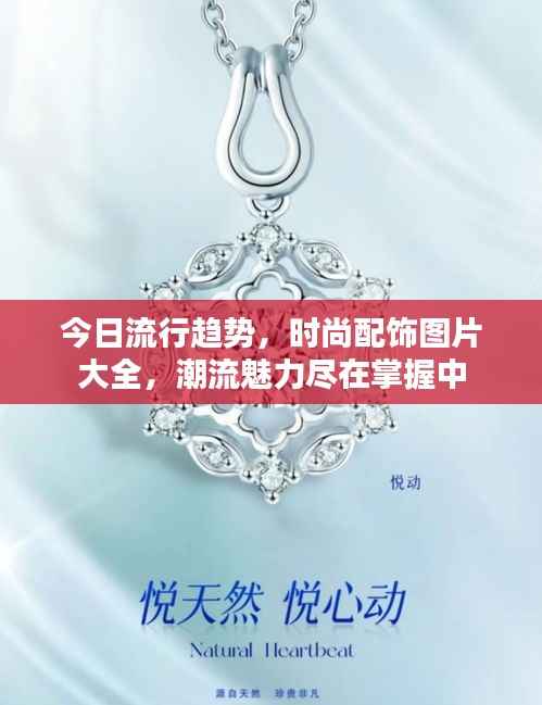 今日流行趋势，时尚配饰图片大全，潮流魅力尽在掌握中