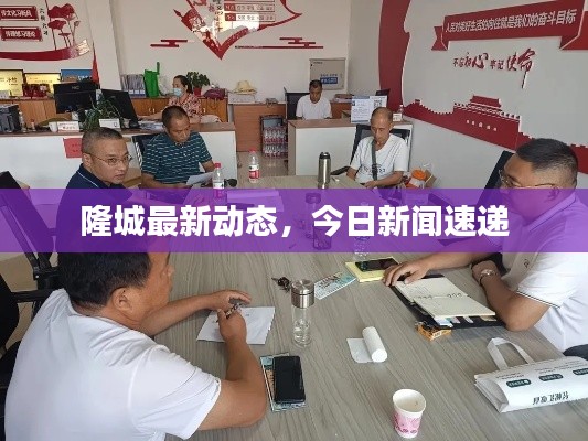 隆城最新动态，今日新闻速递