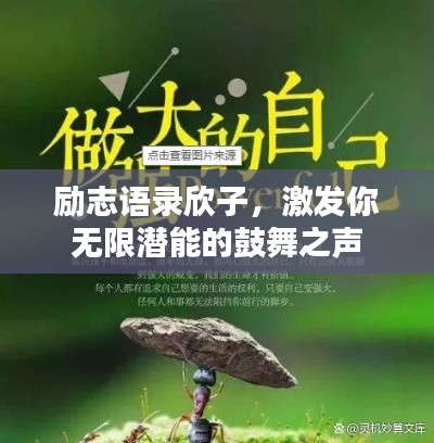 励志语录欣子，激发你无限潜能的鼓舞之声