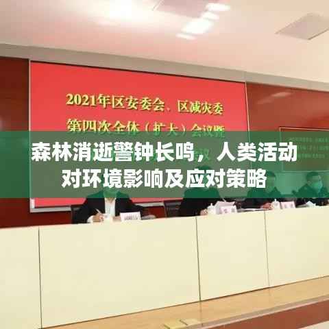 森林消逝警钟长鸣，人类活动对环境影响及应对策略