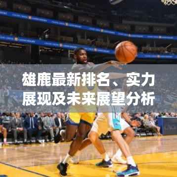 雄鹿最新排名、实力展现及未来展望分析