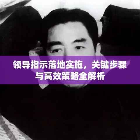 领导指示落地实施，关键步骤与高效策略全解析