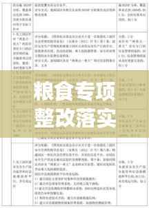 粮食专项整改落实工作深度解读，政策、实践与成效解析