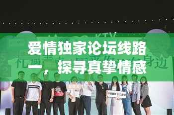爱情独家论坛线路一，探寻真挚情感的奥秘之旅