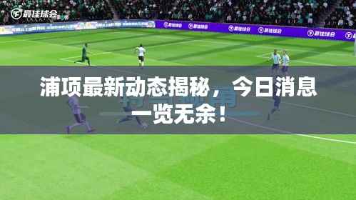 浦项最新动态揭秘，今日消息一览无余！