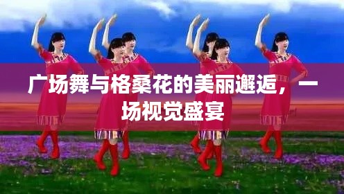 广场舞与格桑花的美丽邂逅，一场视觉盛宴