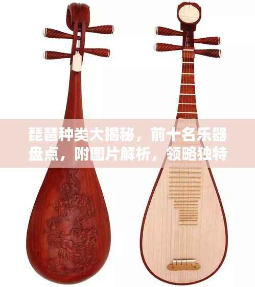 琵琶种类大揭秘，前十名乐器盘点，附图片解析，领略独特音色与风格！