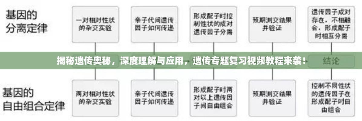 揭秘遗传奥秘，深度理解与应用，遗传专题复习视频教程来袭！