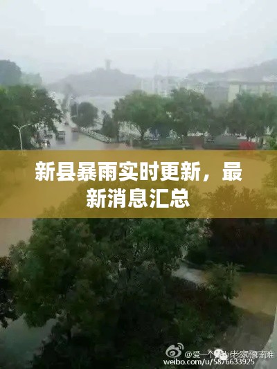 新县暴雨实时更新，最新消息汇总