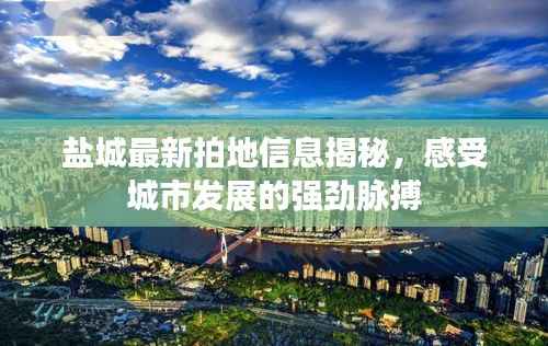 盐城最新拍地信息揭秘，感受城市发展的强劲脉搏