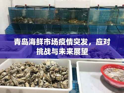 青岛海鲜市场疫情突发，应对挑战与未来展望