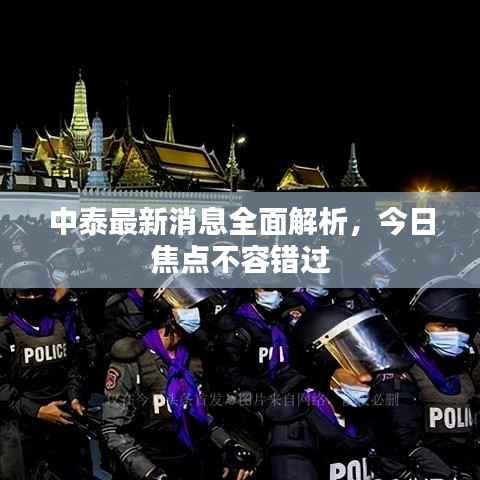 中泰最新消息全面解析，今日焦点不容错过