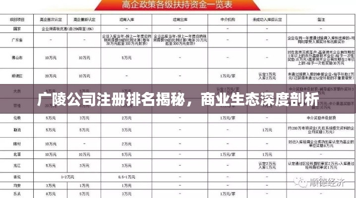 广陵公司注册排名揭秘，商业生态深度剖析