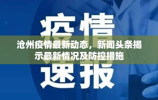 沧州疫情最新动态，新闻头条揭示最新情况及防控措施
