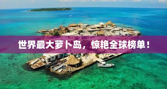 世界最大萝卜岛，惊艳全球榜单！