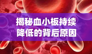 从容就义 第4页