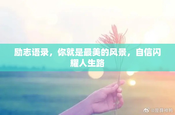 励志语录，你就是最美的风景，自信闪耀人生路