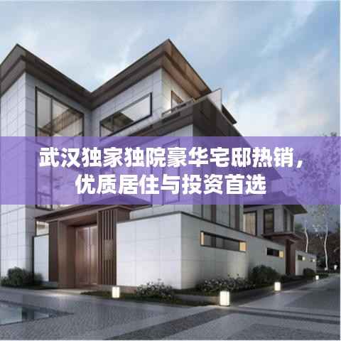 武汉独家独院豪华宅邸热销，优质居住与投资首选