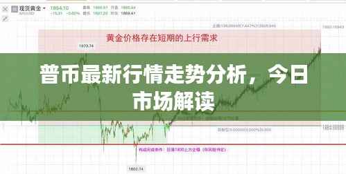 普币最新行情走势分析，今日市场解读