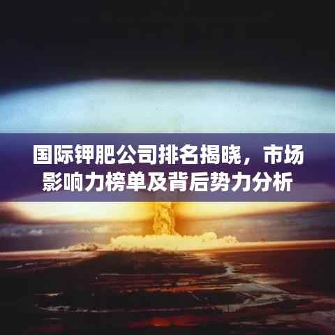 国际钾肥公司排名揭晓，市场影响力榜单及背后势力分析