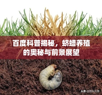 纲挈目张 第4页