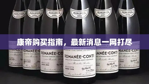 康帝购买指南，最新消息一网打尽