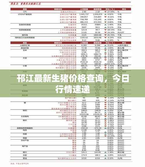 邗江最新生猪价格查询，今日行情速递