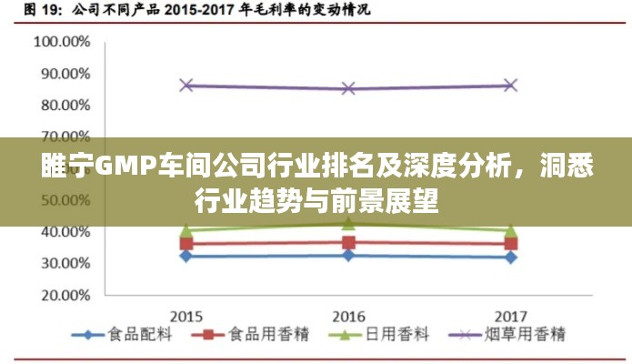 睢宁GMP车间公司行业排名及深度分析，洞悉行业趋势与前景展望