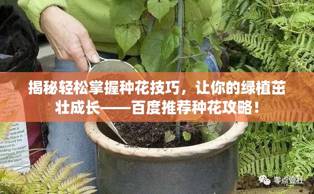 揭秘轻松掌握种花技巧，让你的绿植茁壮成长——百度推荐种花攻略！