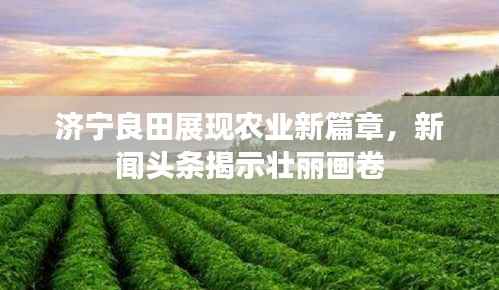 刻画入微 第4页