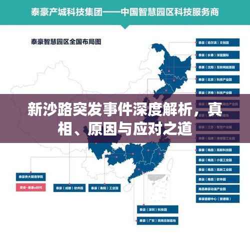 新沙路突发事件深度解析，真相、原因与应对之道
